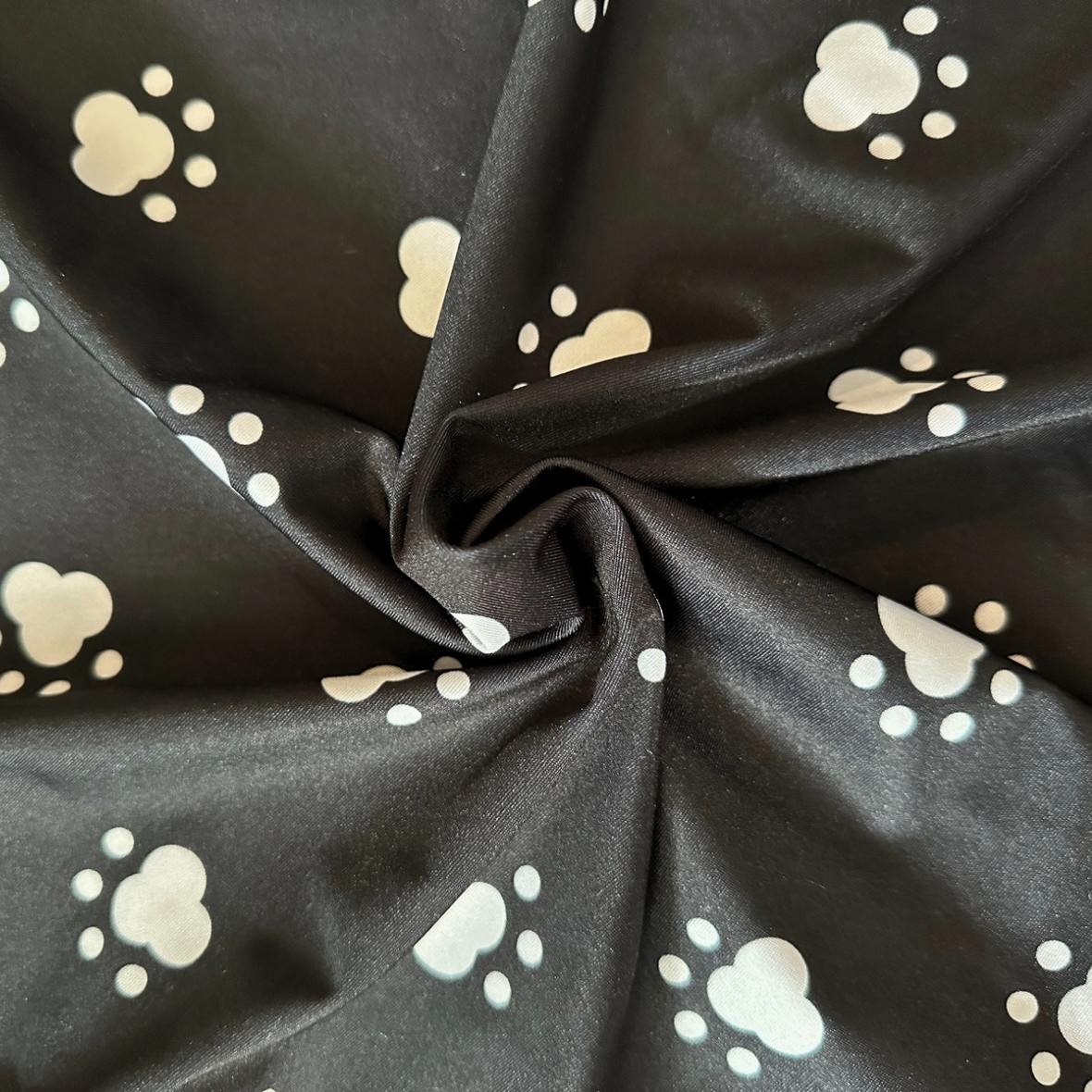 Paws - Posingsuit LIMITED