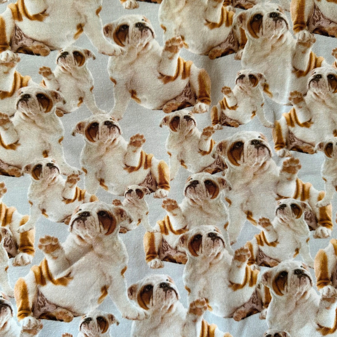 Doggy - Posingsuit LIMITED